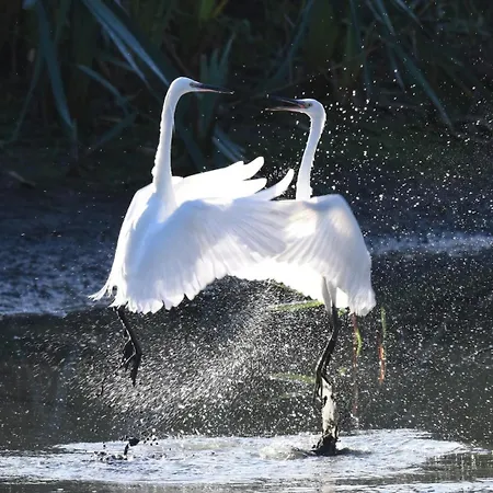 Vakantiehuis Canal Rodley Leeds, 5 Miles Lba Airport