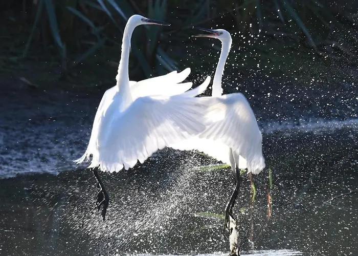 Ferienhaus Canal Rodley Leeds, 5 Miles Lba Airport